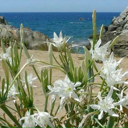 Casa Vacanze Sardina Lägenhet *